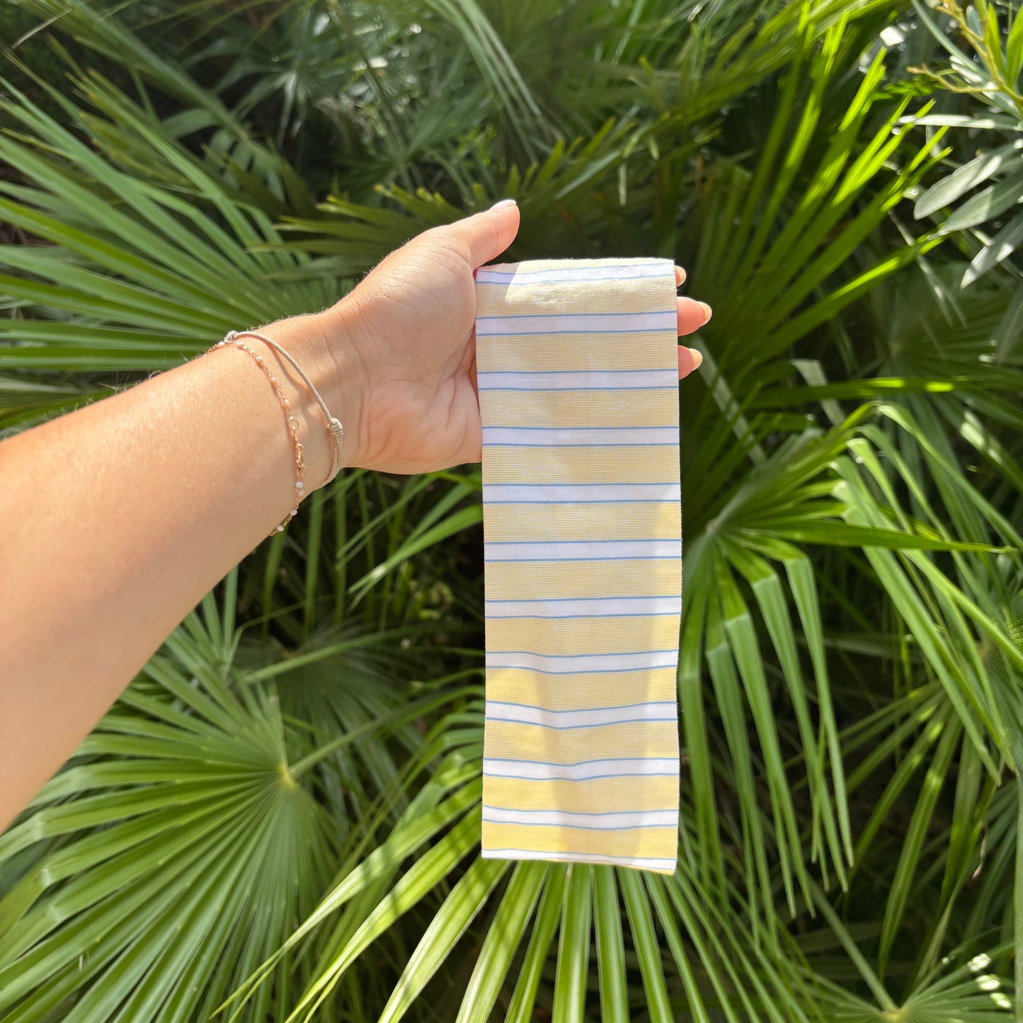 Bandeau CAPRI