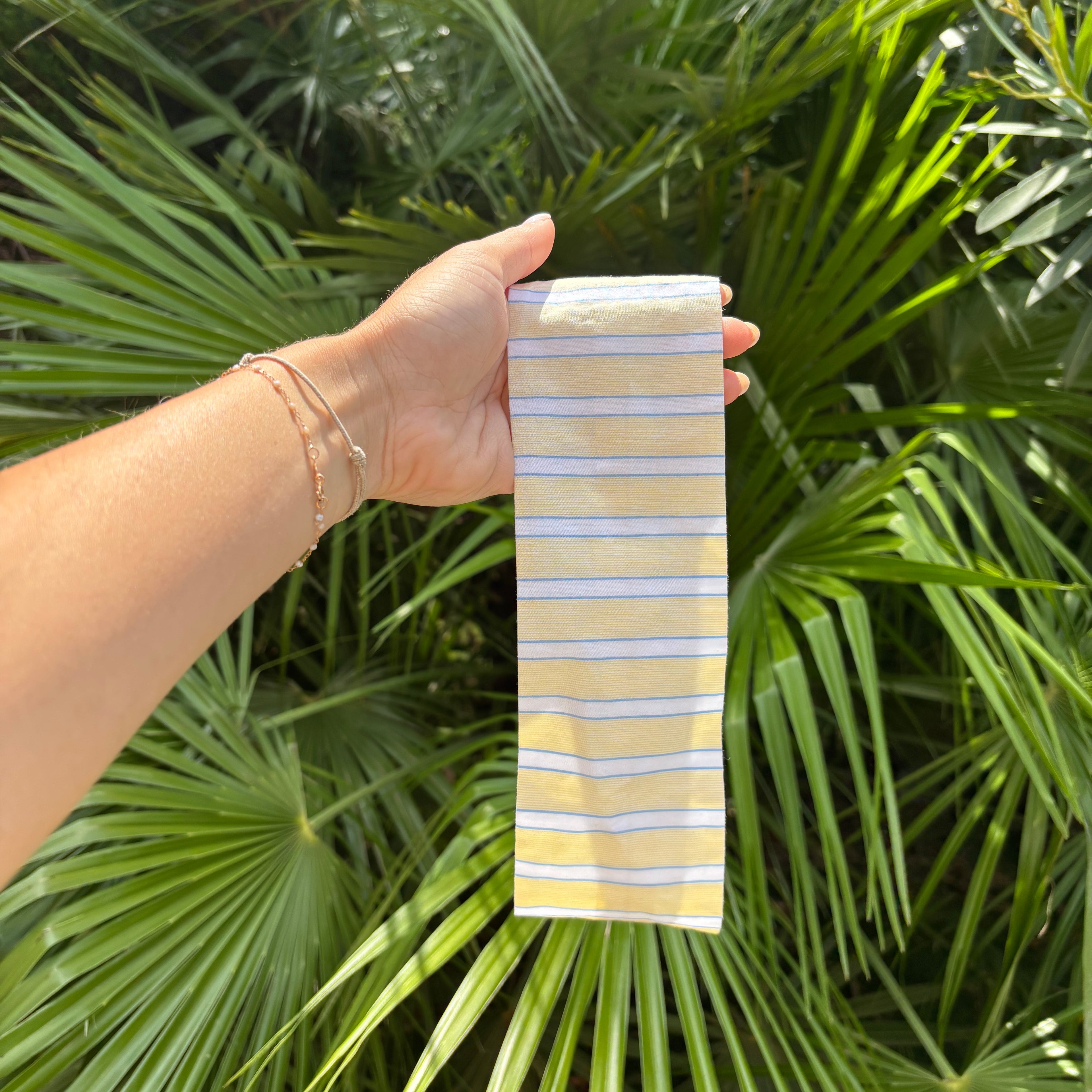Bandeau CAPRI
